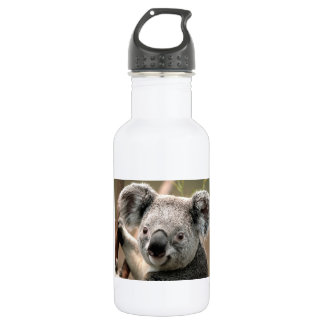 Koala-Bär Edelstahlflasche
