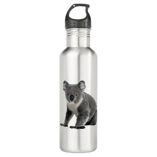 Koala-Bär Edelstahlflasche