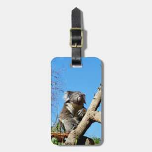 Koala-Bär im alten Baum, Gepäckanhänger