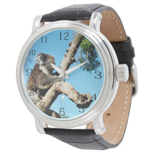 Koala-Bär im alten Kiefernbaum, Armbanduhr