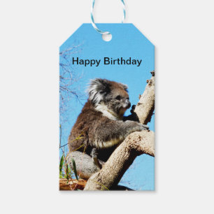 Koala-Bär im alten Kiefernbaum, Geschenkanhänger