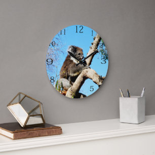 Koala-Bär im alten Kiefernbaum, Große Wanduhr