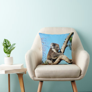 Koala-Bär im alten Kiefernbaum, Kissen