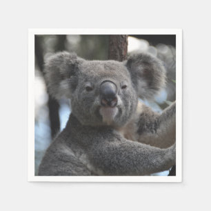 Koala-Bär im Baum Serviette