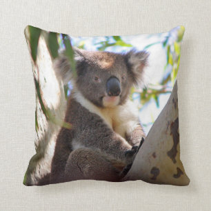 Koala Bär im Baumdekorativen Tierwurzelpilz Kissen
