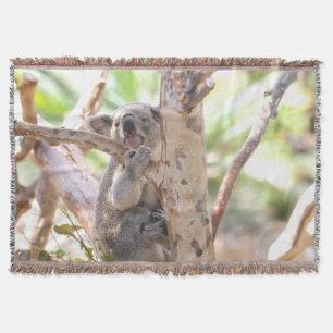 Koala-Bär in einem Baum Decke