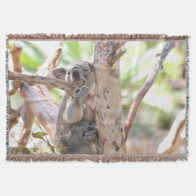 Koala-Bär in einem Baum Decke (Vorderseite)