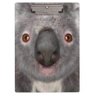 Koala Bär Klemmbrett