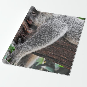 KOALA-BÄR SCHLÄFT AUF EINEM BAUM GESCHENKPAPIER