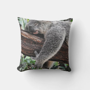 KOALA-BÄR SCHLÄFT AUF EINEM BAUM KISSEN