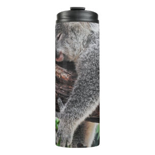KOALA-BÄR SCHLÄFT AUF EINEM BAUM THERMOSBECHER