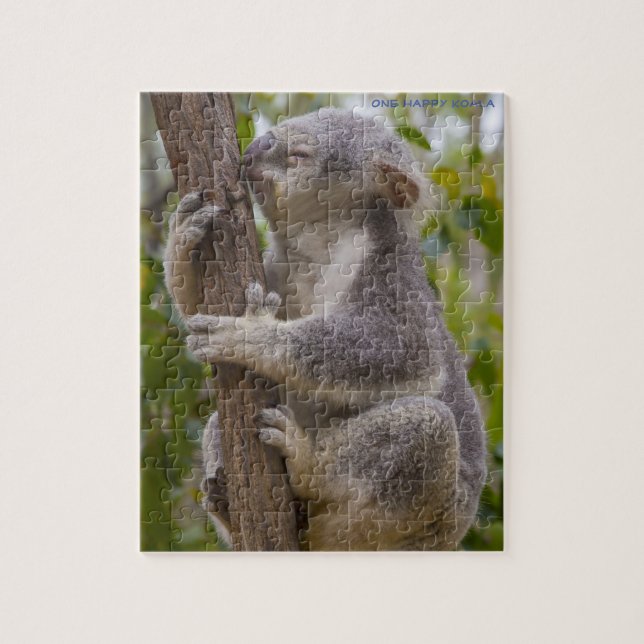 Koala Bären Australien (Vertikal)