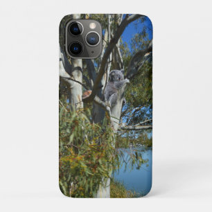 Koala-Bären, die in Gummi-Baum schlafen, Case-Mate iPhone Hülle