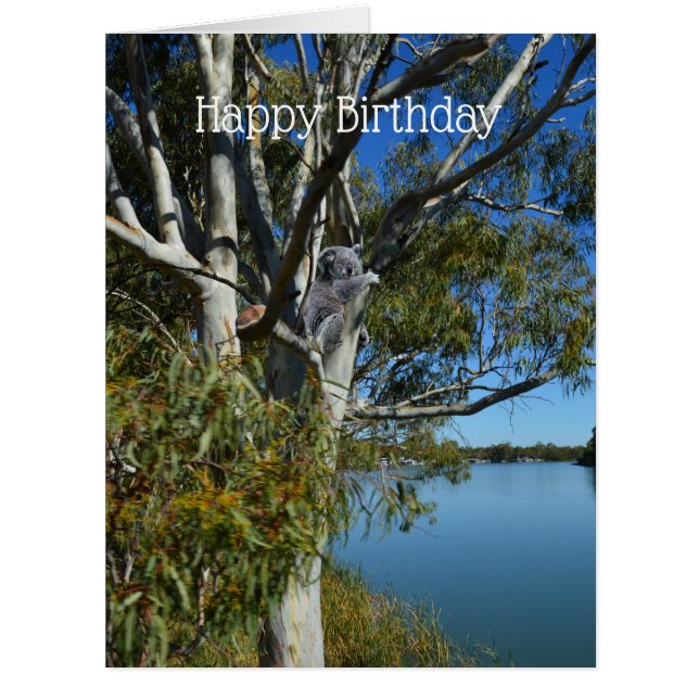 Koala Bären schlafen in Gum Tree, Big Birthday Car (Vorderseite)