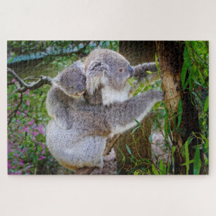 Koala-Bärenpuzzle