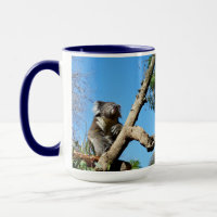 Koala Bärenzeit, um über das Leben nachzudenken,