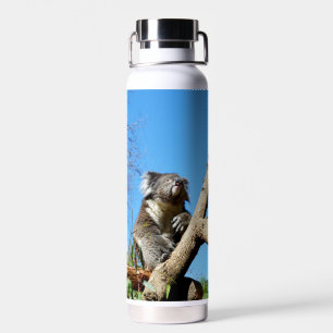 Koala Bärenzeit, um über das Leben nachzudenken, Trinkflasche
