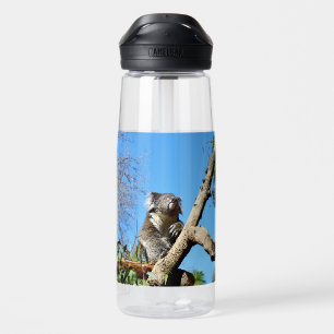 Koala Bärenzeit, um über das Leben nachzudenken, Trinkflasche