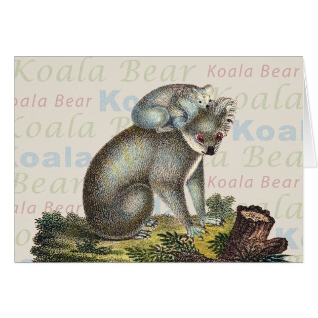 Koala-Bärn-Karte (Vorderseite (Horizontal))