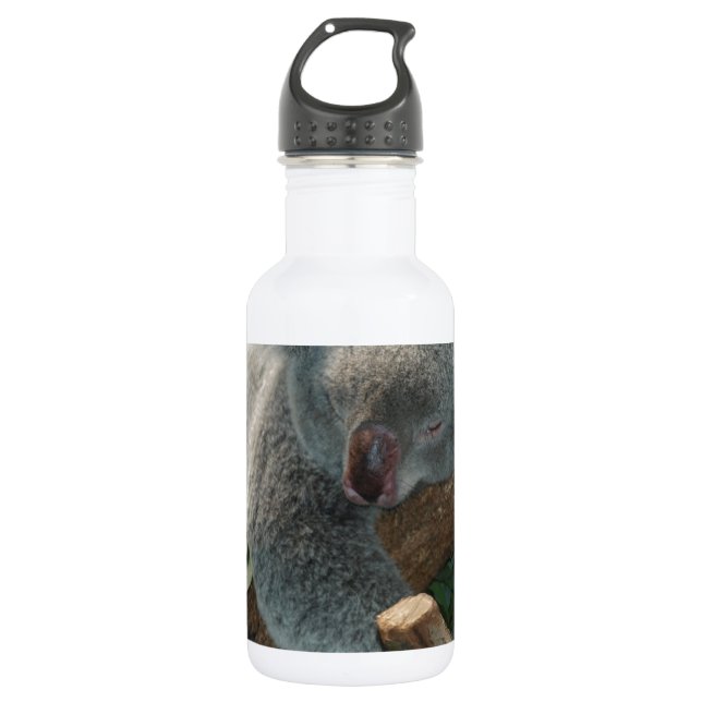 Koala-Bärn-Liebe-Tier-Schicksal Edelstahlflasche (Vorderseite)