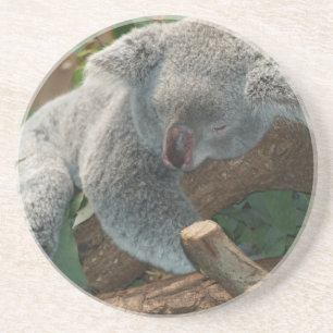Koala-Bärn-Liebe-Tier-Schicksals-Geschenke Sandstein Untersetzer