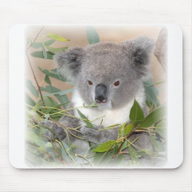 Koala-Bärn-Mausunterlage Mousepad (Vorne)