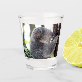 Koala-Bärn-Schnapsglas Schnapsglas