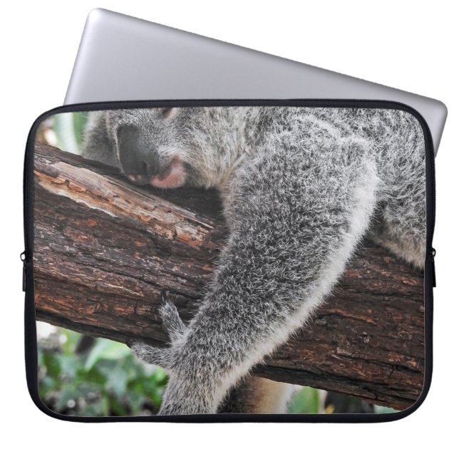 KOALA BÄRSCHLAFEN AUF BAUM LAPTOPSCHUTZHÜLLE (Vorderseite)