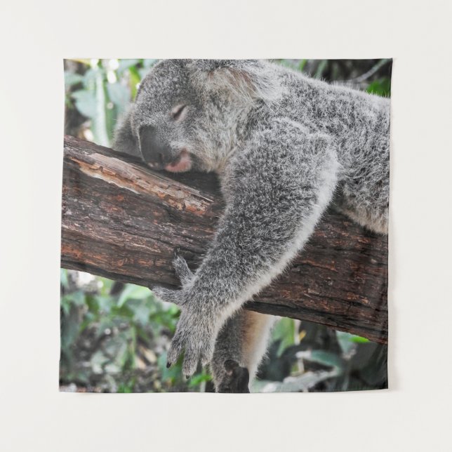 KOALA BÄRSCHLAFEN AUF BAUM WANDTEPPICH (Vorderseite)