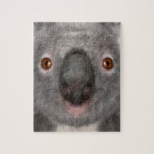Koala Bear