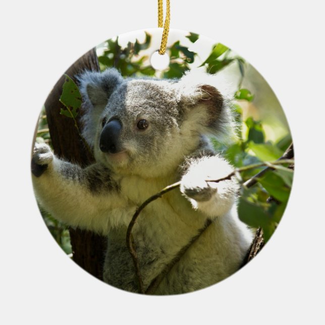 Koala Bear Aussi Safari Peace Liebe Nature Destiny Keramik Ornament (Vorne)