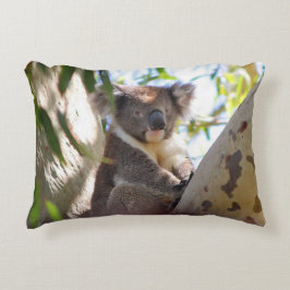 Koala bear Aussie Outback Buschwald Klettern Zierkissen