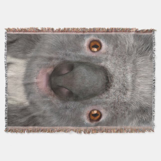 Koala Bear Decke (Vorderseite)