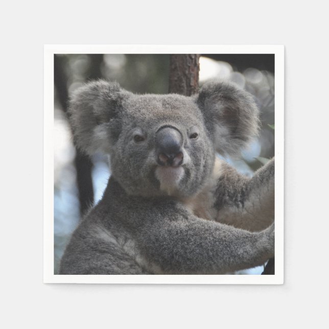 Koala Bear in Tree Serviette (Vorderseite)