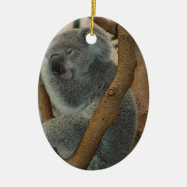 Koala Bear Keramik Ornament (Vorne)