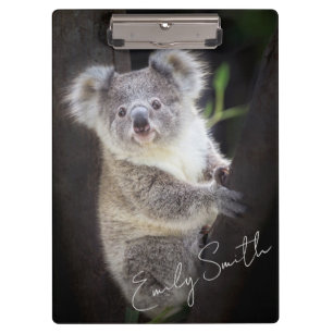 Koala Bear Klemmbrett