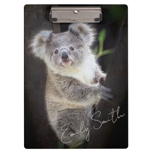 Koala Bear Klemmbrett (Vorderseite)