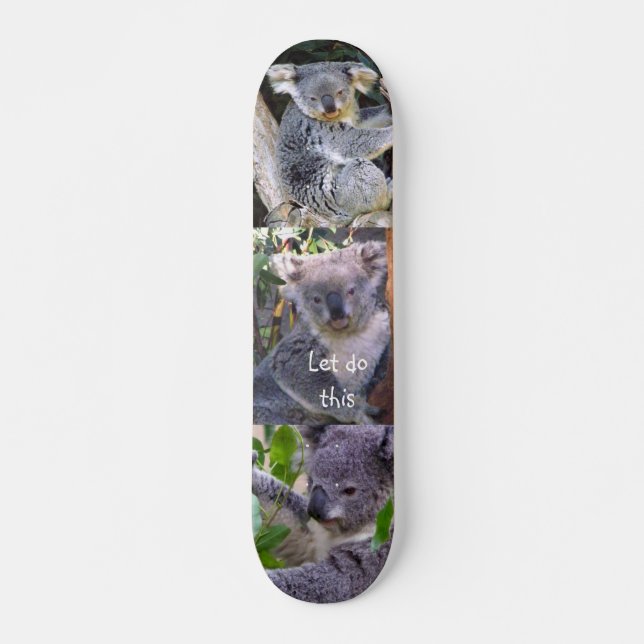 Koala Bear" Machen wir das"_Skateboard Skateboard (Vorne)