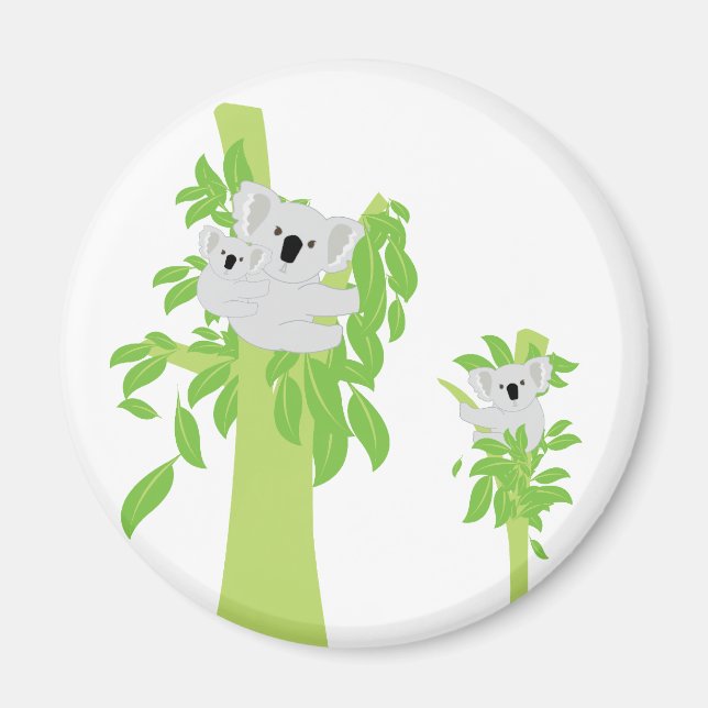 Koala Bear Magnet (Vorne)