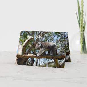Koala Bear Tight Rope Walker, Geburtstag Karte