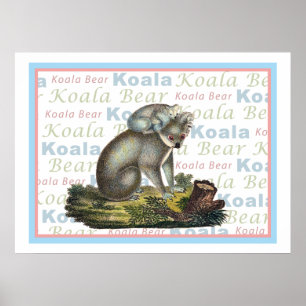Koala Bear und Baby Poster