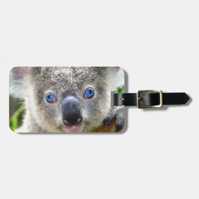Koala Bears Gepäckanhänger (Vorderseite horizontal)