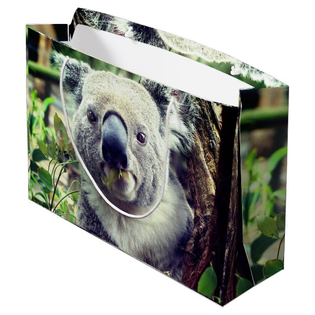 Koala Bears Große Geschenktüte (Rückseite Schrägansicht)