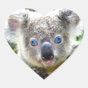 Koala Bears Herz-Aufkleber
