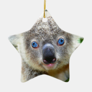 Koala Bears Keramik Ornament