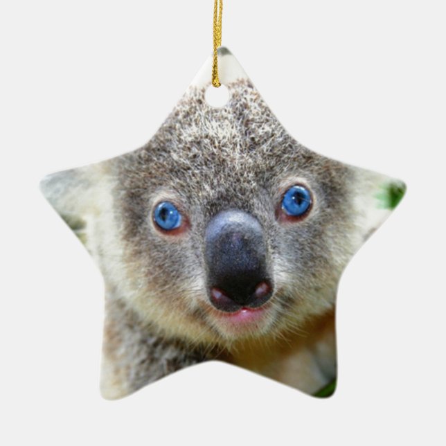 Koala Bears Keramik Ornament (Vorne)