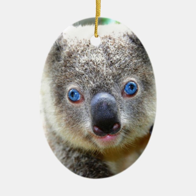 Koala Bears Keramik Ornament (Vorne)