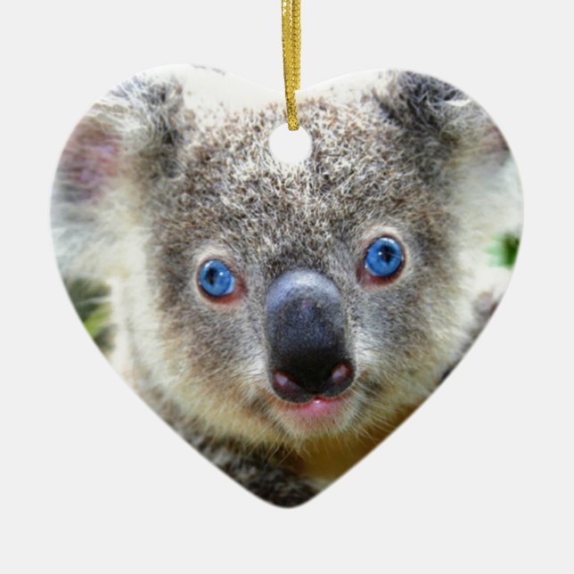 Koala Bears Keramikornament (Vorne)