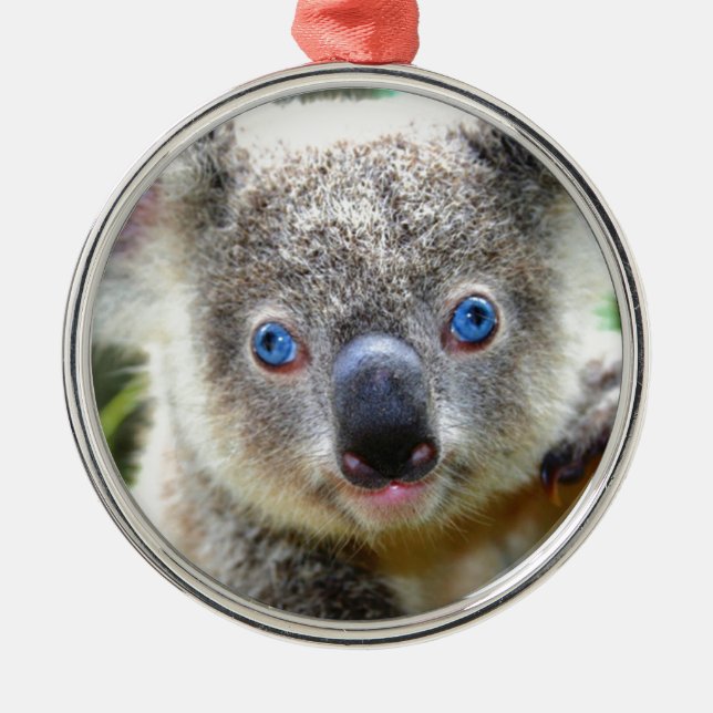 Koala Bears Ornament Aus Metall (Vorne)