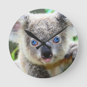 Koala Bears Runde Wanduhr